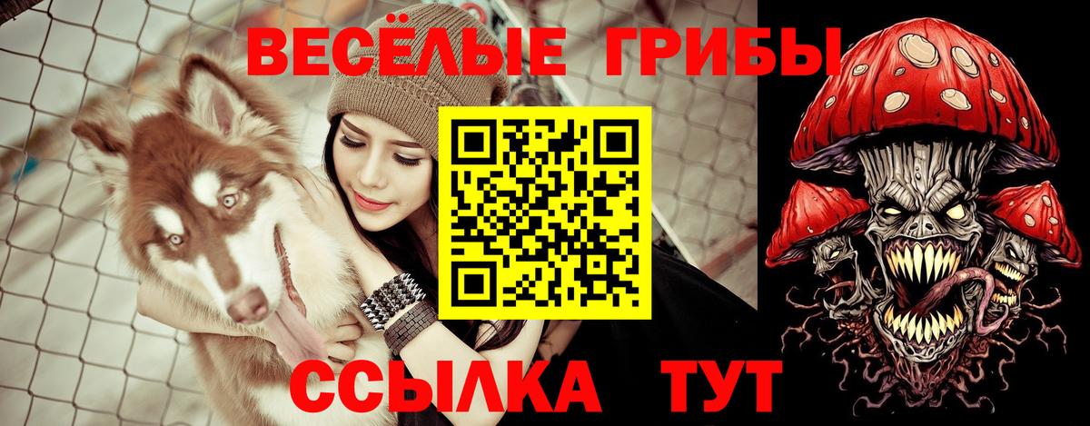 Карачаевск  Псилоцибиновые грибы Magic Shrooms  Вход с VPN 